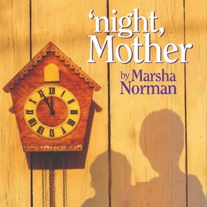 Review: 'NIGHT MOTHER at The Alchemy Theatre Photo