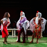 Review: REVOLTOSA - THE TROUBLEMAKER at GALA Hispanic Theatre