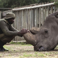 Hamptons International Film Festival's FOR SAMA & KIFARU Directors Talk…