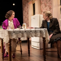 Review: WIFE OF A SALESMAN Brings Life-Giving Drama to the Milwaukee Repertory Theate Photo