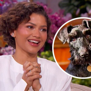 Zendaya Reveals Tom Holland's Sweet Dog-Walking Duty on JHUD SHOW Photo