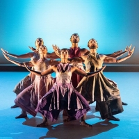 Seeta Patel Dance Will Embark On Tour With THE RITE OF SPRING Photo