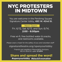 Signature Theatre Opens Lobby to Protesters This Weekend Video