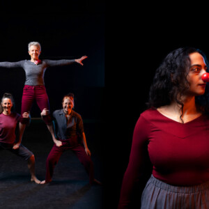 MURMURATION to Open for Women's Circus 35th Anniversary Photo