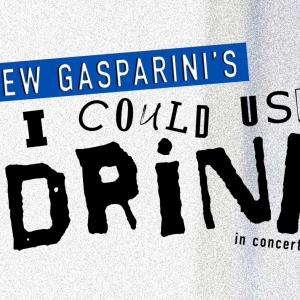 Drew Gasparini's I COULD USE A DRINK To Be Presented In Concert, January 30 Photo