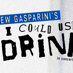 Drew Gasparini's I COULD USE A DRINK To Be Presented In Concert, January 30