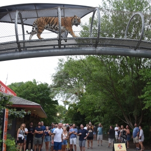 PHILADELPHIA ZOO Kicks Off Oktoberfest Season with Return of “OktoBEARfest” and T Photo