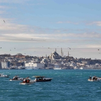 Istanbul Biennial Announces List Of Contributors Photo