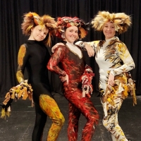 The Majestic Academy Of Dramatic Arts Will Present CATS: YOUNG ACTORS EDITION, January 27- 29