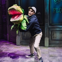 LITTLE SHOP OF HORRORS Returns to Off-Broadway Run This Fall Video