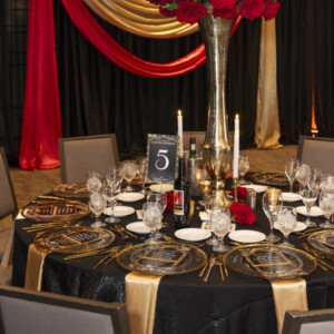 Sarasota Opera to Honor David and Edith Chaifetz at 2027 Annual Opera Gala Photo