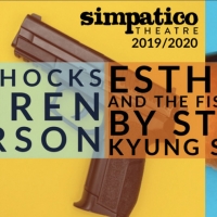 Philadelphia's Simpatico Theatre's 2019-20 Season Examines The Impact Of Gun Violence Video