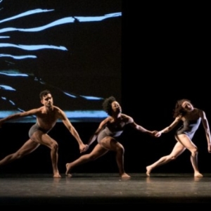 Jacob's Pillow Dance Festival to Present Stephen Petronio Company's Final Bow Interview