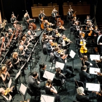 Park Avenue Chamber Symphony Announces 20th Anniversary Season Photo