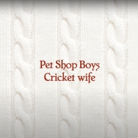 LISTEN: Pet Shop Boys Release 10 Minute Song 'Cricket Wife' Photo
