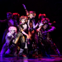 BWW Review: CATS Prowls and Prances Into the Hobby Center