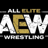 WarnerMedia Expands Relationship with All Elite Wrestling Photo