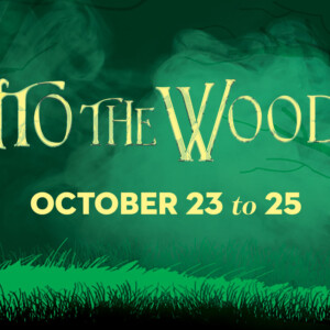 INTO THE WOODS Cast Announced by Desert Theatricals Photo