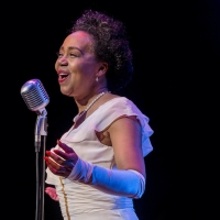 BWW Review: LADY DAY AT EMERSON'S BAR AND GRILL at FreeFall Theatre Photo