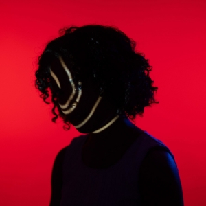 THIS IS NOT ABOUT ME Comes to Edinburgh Fringe Photo