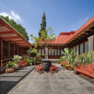 Museo Casa Kahlo Welcomes More Than 100,000 Visitors in Its First Year Photo