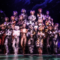 BWW Review: CATS Brings the Jellicle Ball to the Kennedy Center Photo
