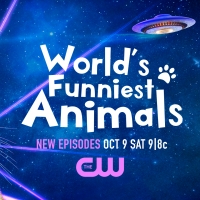 WORLD'S FUNNIEST ANIMALS Will Return to The CW Photo