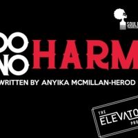 BWW Review: DO NO HARM Heals with Hurt at Soul Rep Theatre Company Photo