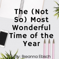 Student Blog: The (Not So) Most Wonderful Time of the Year