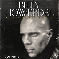 Billy Howerdel (A Perfect Circle) Announces New Album & North American Tour Photo
