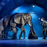 BWW Review: THE MAGICIAN'S ELEPHANT, Royal Shakespeare Theatre Video