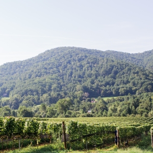 EARLY MOUNTAIN'S QUAKER RUN VINEYARD in Virginia-Exceptional Holiday Wines