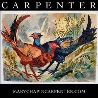 Mary Chapin Carpenter Comes To DPAC, August 17 Video