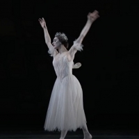 VIDEO: The Royal Ballet's Marianela Nuñez Performs From GISELLE Video