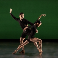 Interview: Catching Up with Ethan Stiefel, Artistic Director of American Repertory Ba Interview