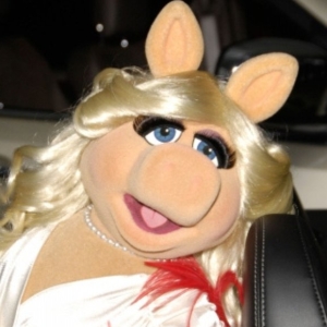 Cole Escola Wants Miss Piggy to Star in OH, MARY! Film Photo