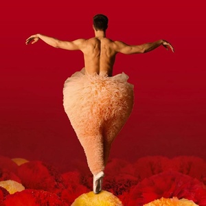 Chicos Mambo's TUTU to Return to the Peacock Theatre Photo