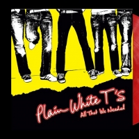 Plain White T's Celebrate 15th Anniversary of 'All That We Needed' With Vinyl Debut Photo