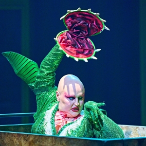 Sheffield Theatres Leads Nominees For 2025 UK Theatre Awards; Full List! Photo