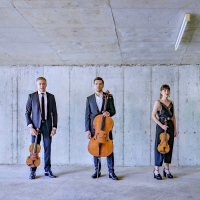 The Australian String Quartet To Perform Live On A National Tour In May And June Video