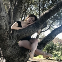 Student Blog: Just a Dream