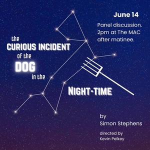 THE CURIOUS INCIDENT OF THE DOG IN THE NIGHT-TIME to Host Autism Panel at Eastbound T Photo
