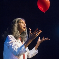Brian Copeland Presents MY STROKE OF LUCK By Diane Barnes