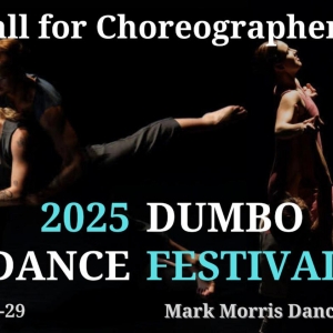 WHITE WAVE DANCE Opens Application Submissions For The 2025 DUMBO Dance Festival Photo