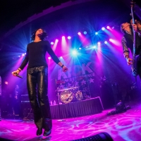 KICK - The INXS Experience Brings Australian Rockers' Biggest Hits To Tupelo Music Ha Photo
