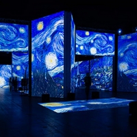 COVID-Safe VAN GOGH ALIVE Comes To Life At Stanley Marketplace