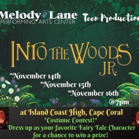 Melody Lane Performing Arts Center Presents INTO THE WOODS JR. Photo