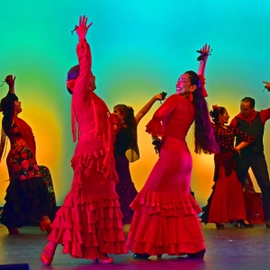 Divaria Opera To Return To Bay Street With WE ARE CARMEN