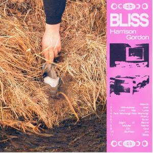 Photos: Harrison Gordon Releases Sophomore Album BLISS Via Hopeless Records Photo