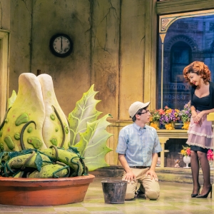 LITTLE SHOP OF HORRORS to Unveil 'Audrey II' Times Square Installation Photo